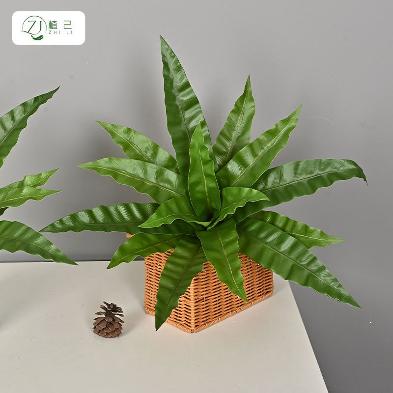 仿真绿植单支鸟巢叶肾蕨植物室内家居商场植物墙装饰摄影道具摆件