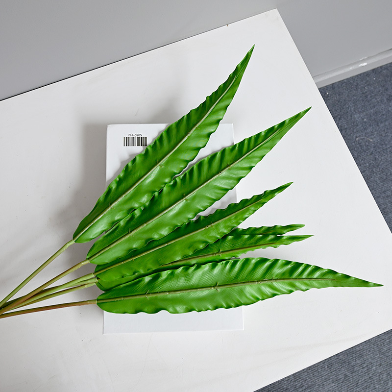 仿真6叶鸟巢蕨绿色蕨类植物蕨草室外植物墙配材婚庆装饰波斯叶