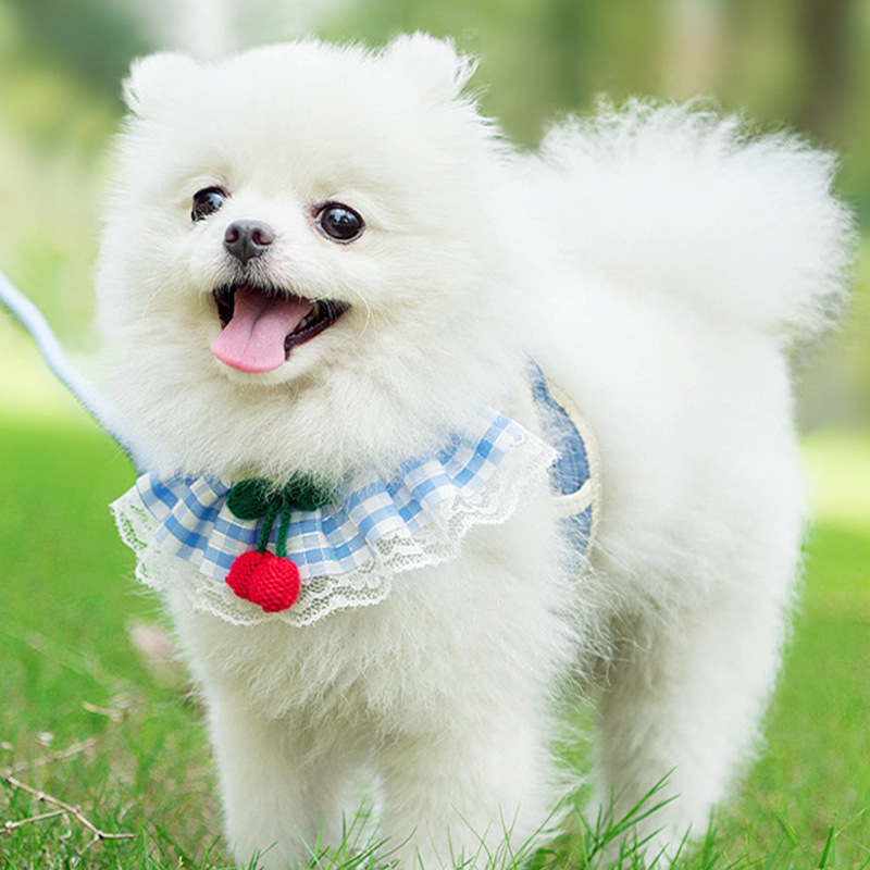 宠物牵引绳防挣脱背心式狗狗胸背带中小型犬猫咪牵引绳胸背带