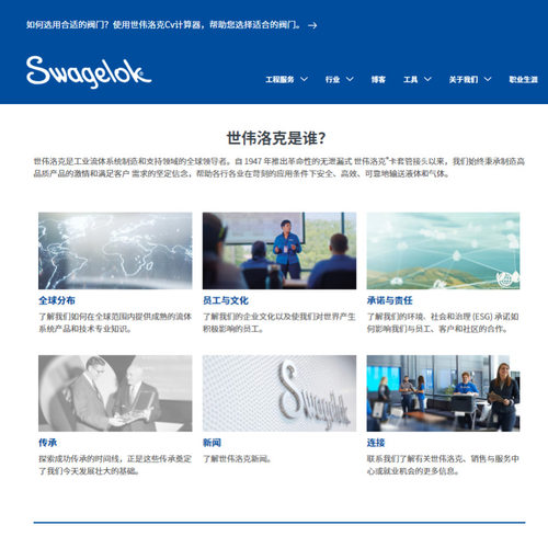 【SS-10M0-1-2】Swagelok(世伟洛克)10 mm  x 1/8 in. 外螺纹 NPT