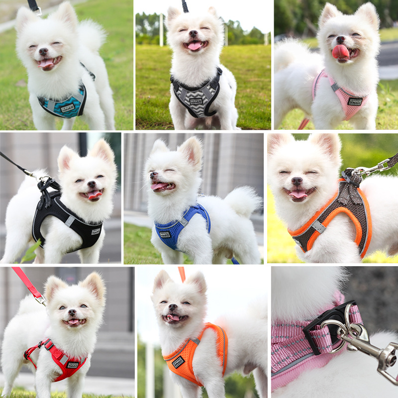 亚马逊爆款狗狗牵引绳 防挣脱反光狗胸背猫咪牵引绳厂家直销
