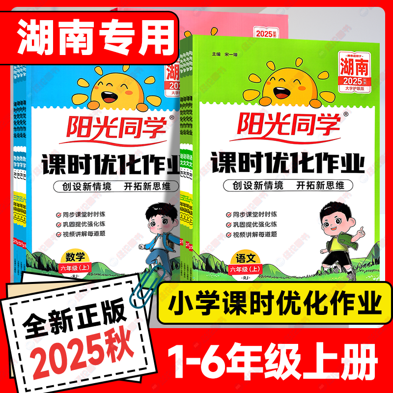 2025版阳光同学课时优化作业本
