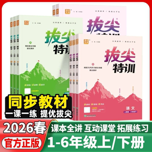 2026春版小学拔尖特训一二年级三四年级五六年级语文数学英语下册上册人教版小学生课堂同步训练练习册北师苏教版译林版课时作业本