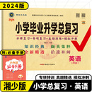 2024版 小学升初中分班历年真卷分册专项真题模拟训练试卷湖南名校招生真题卷 XSE 神龙牛皮卷小学毕业升学总复习英语湘少版