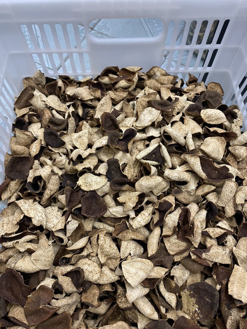 2017新会东甲原枝大红皮断皮纯干仓纯生晒正宗5年老陈皮广东特产