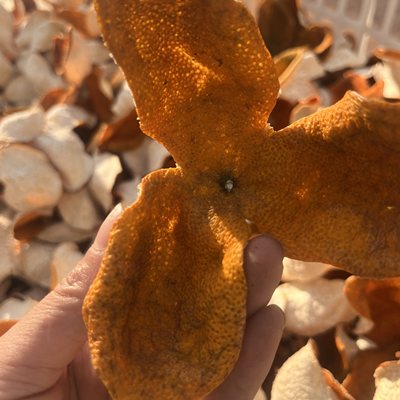 《2025年天马冬后大红通发》一线产区大红皮纯生晒糯香味新会陈皮