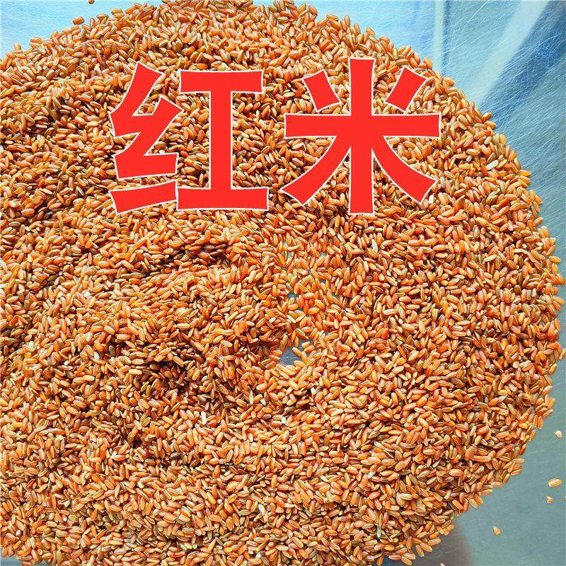 农粗粮选红稻红包15斤东北家精红米红糙米粳米血谷大米邮米斤