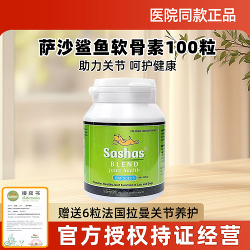 萨沙sashas关节炎宠物猫猫咪狗狗