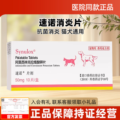 速诺消炎片猫咪感冒药猫鼻支宠物