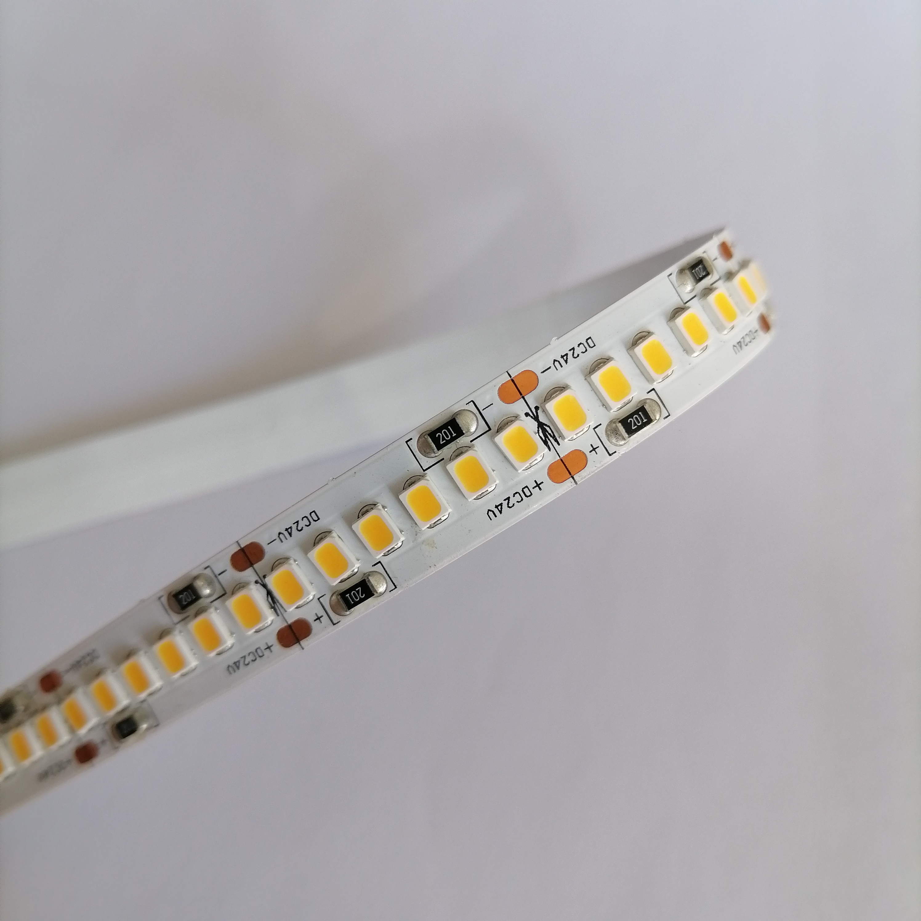 24V 2835 240灯10mm单色工程款软灯带2500k 2700k 3500k 5000k