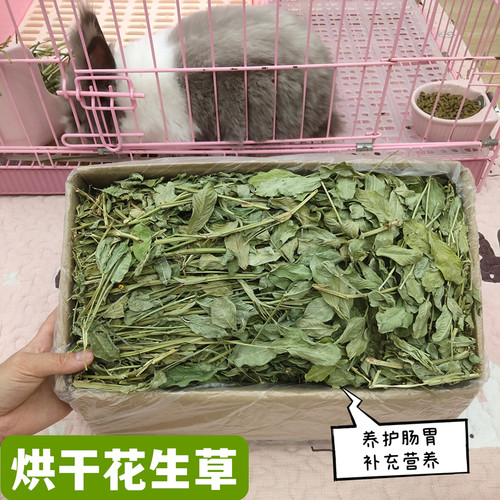 萌宠崽崽烘干花生牧草养护肠胃