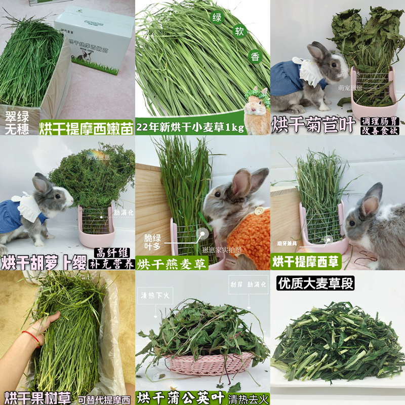 萌宠崽崽兔子牧草干草多钟