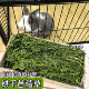 烘干苜蓿草兔子草幼年主粮荷兰猪龙猫干草兔粮幼兔粮兔兔干草饲料