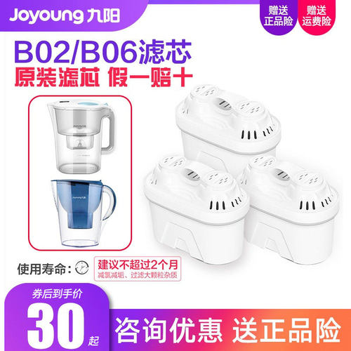 九阳净水壶JWW-B02/B06原装滤芯