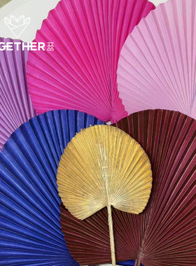 【新年】苁丛 金色蓝色粉色红色蒲扇 仿真植物年宵花配饰