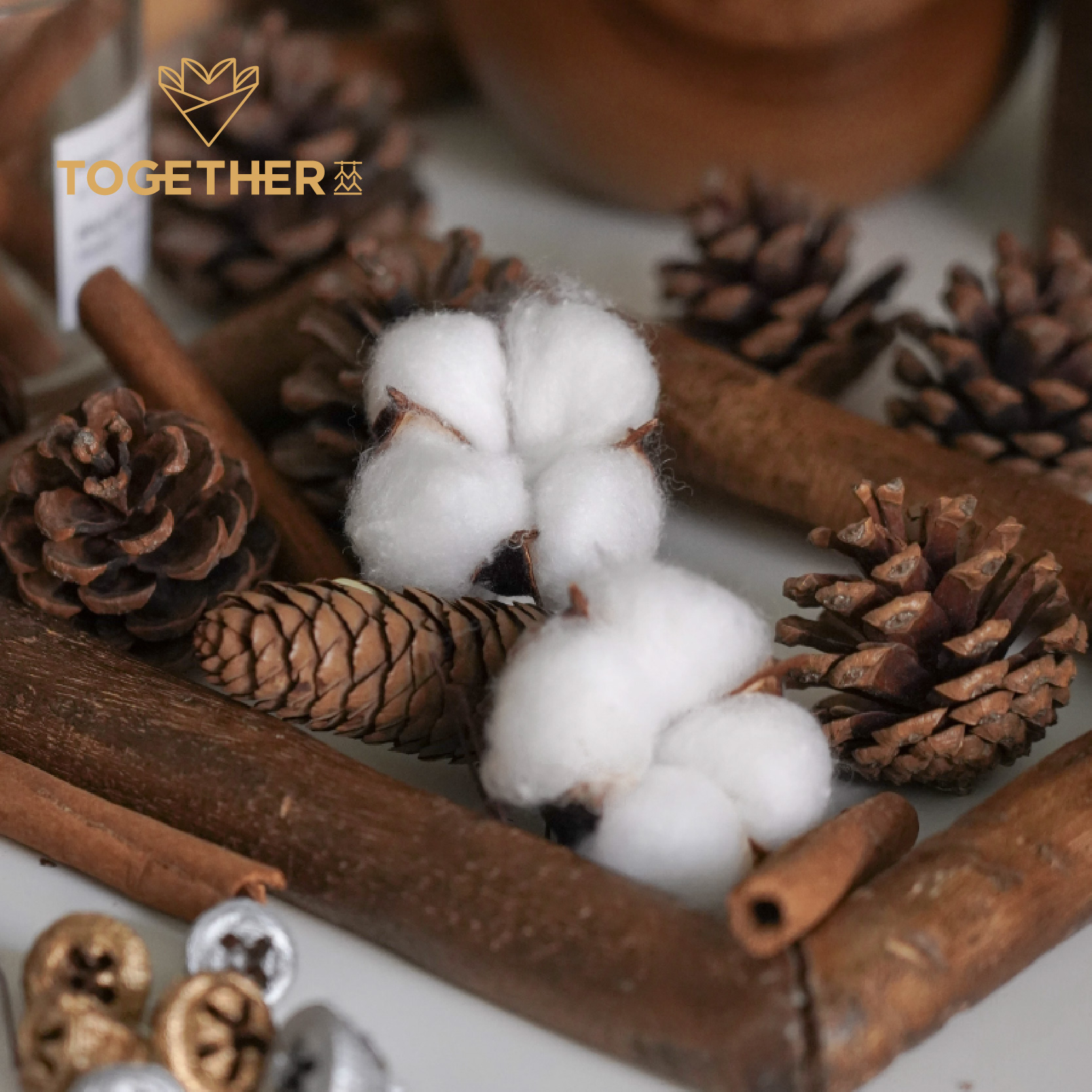 【圣诞】苁丛圣诞植物干货装饰陶罐果橙片血藤片桂皮混装松果干果