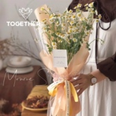 原创 晨雾柔光全色系 单色半透明雾面 苁丛 花艺包装