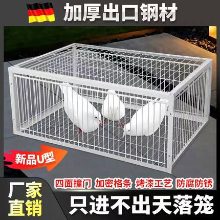 户外新款天落笼鸽子笼加厚加密自动收鸽子神器活络门撞门只进不出
