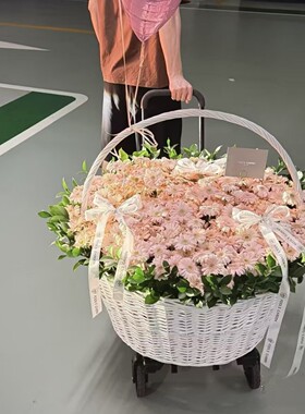 INS风白色田园柳条特大花篮