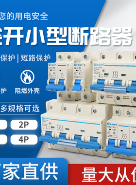 小型断路器空气开关家用DZ47S-63 1P2P3P4P 16A25A32A63A过载保护
