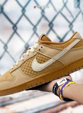 Nike/耐克 Nike Dunk 