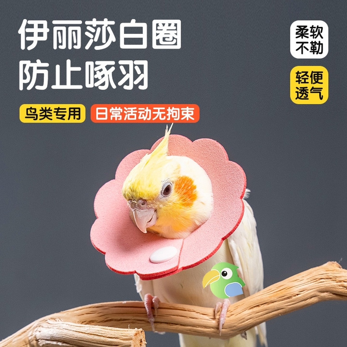 玄凤鹦鹉伊丽莎白圈保护项圈牡丹防啄毛鸟用防啃咬毛脖套不勒头套,宠物/宠物食品及用品,宠物伊丽莎白圈,淘宝优惠券,粉丝福利购,淘宝优惠卷