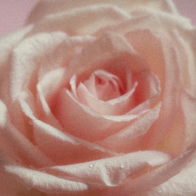 老顾客芳香定制 奢金禅意眼部紧致抗皱按摩油 10ML