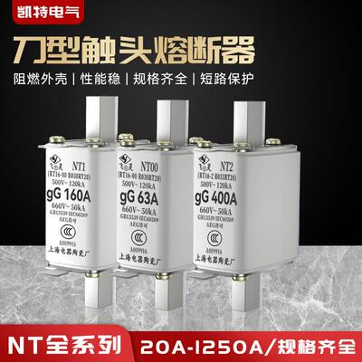 NT00熔断器RT36-00熔断丝熔芯保险丝25A32A40A50A63A80A100A陶瓷