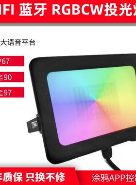 灯照明灯RGBCW投光灯户外WIFI强光户外投光灯户外防水RGBled蓝牙