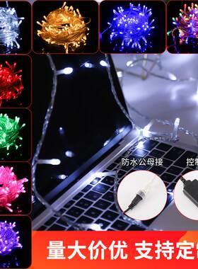 led满天星灯串节日装饰灯闪灯24V低压多色户外防水工程亮化彩灯