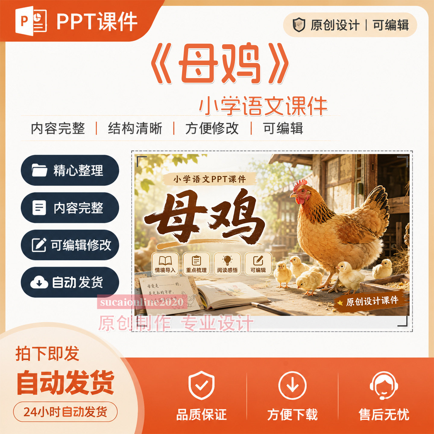 小学语文《母鸡》精品公开课教学案授课PPT课件作品成品制作A511