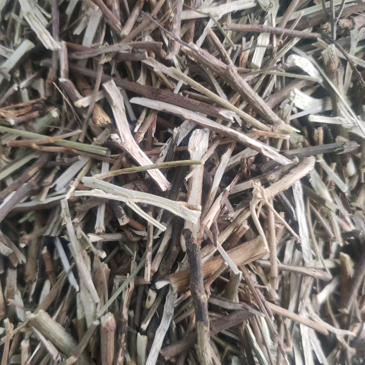 小柴胡 拍3斤包邮  柴胡枝苗北柴胡中草药材供应 产地直销 500g克