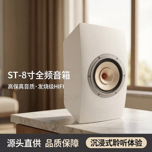 ST-8寸高品质白色烤漆全频音箱