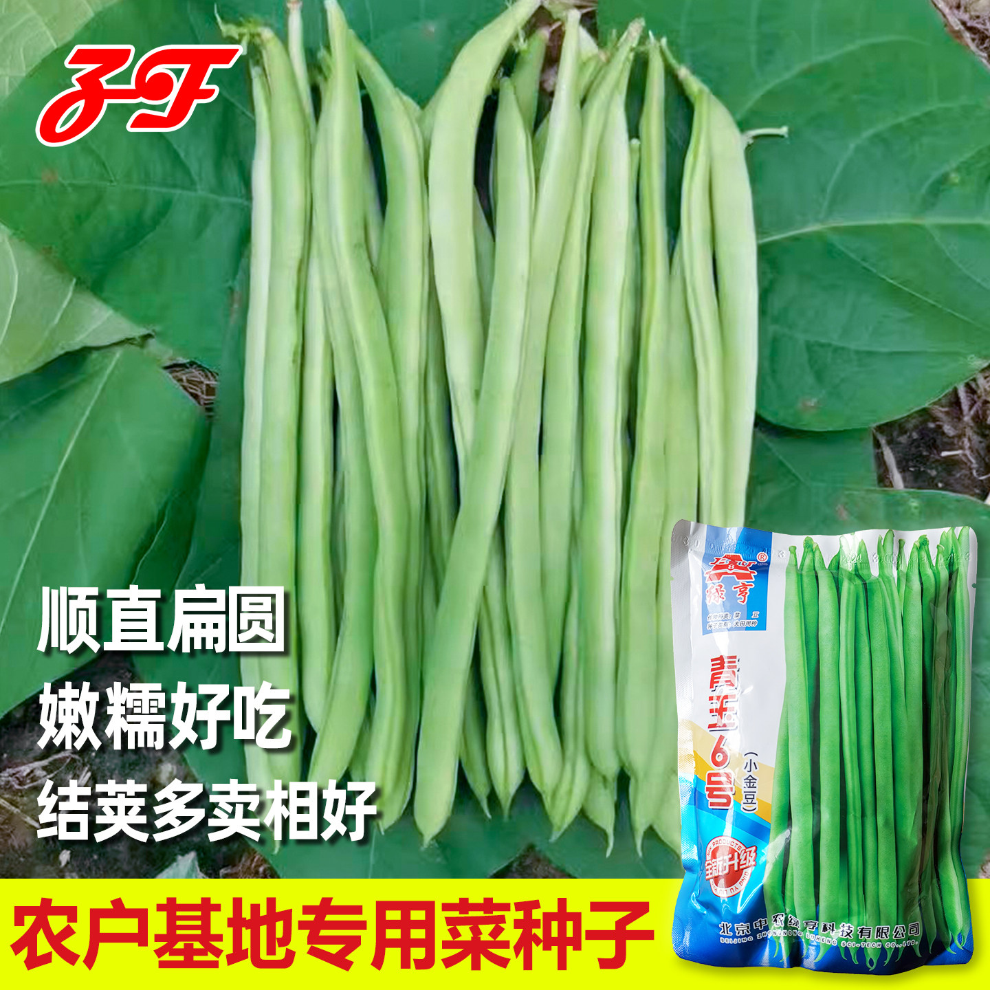 好吃好看好卖四季架豆种子图片