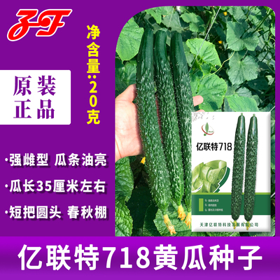 春季秋棚露地黄瓜种子强雌型瓜条油亮亿联特718密刺绿瓤青瓜种籽