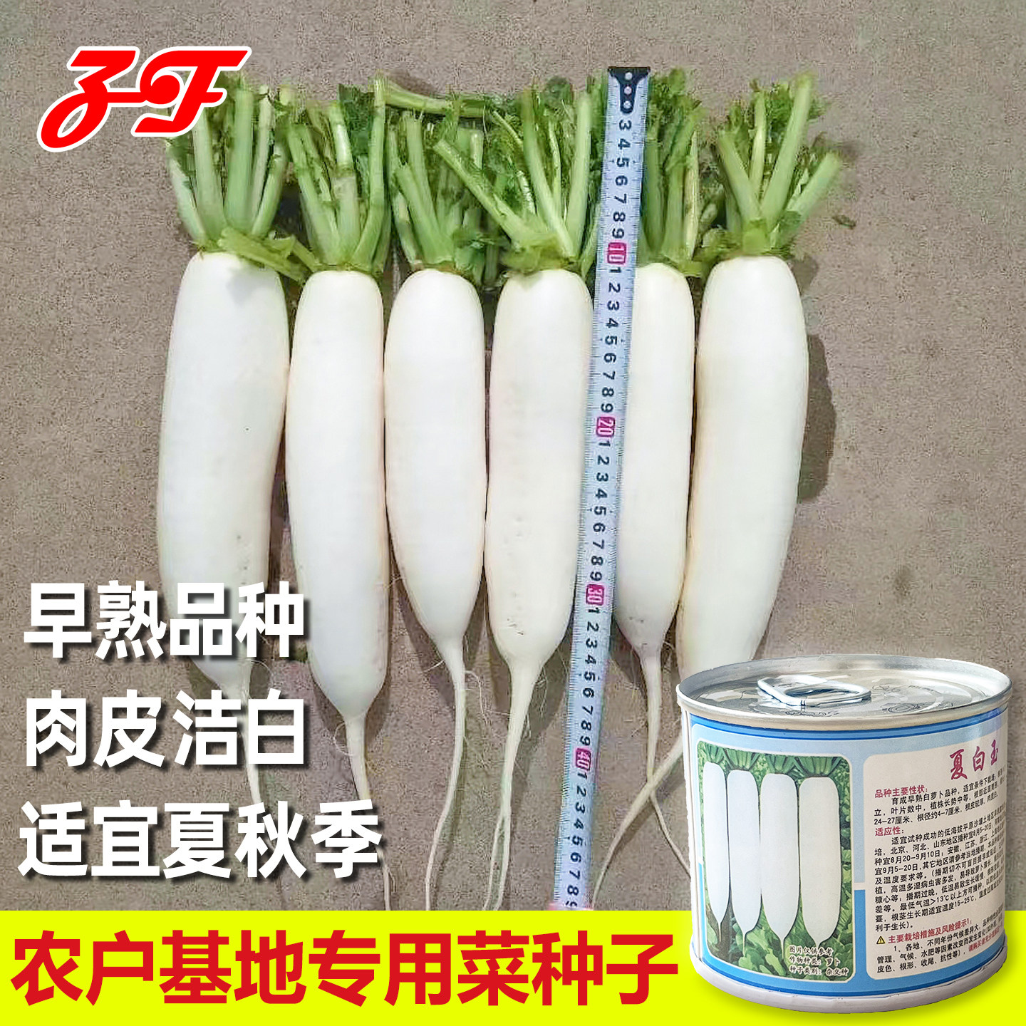 杂交白萝卜种子蔬菜基地推荐夏秋季耐热早熟绿亨夏白玉长白萝卜籽图片