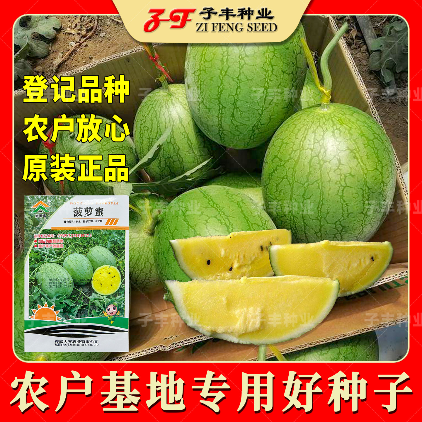 大齐菠萝蜜西瓜种子黄瓤薄皮香脆超甜春季四季水果种籽黄肉西瓜籽