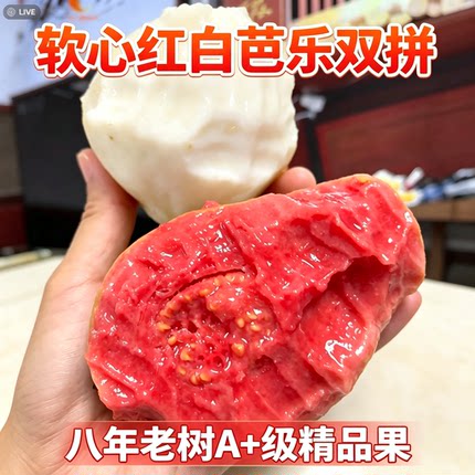 芭乐软红心番石榴新鲜水果当季软甜奶油冰淇淋红芭乐树熟大果五斤