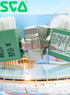 美国ASCO电磁阀 CE认证 全新SCG356B434V/SCG256B434V 两分螺纹牙