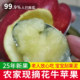 25年现摘粉面沙甜天水花牛苹果老人宝宝刮泥吃蛇红果新鲜水果9斤