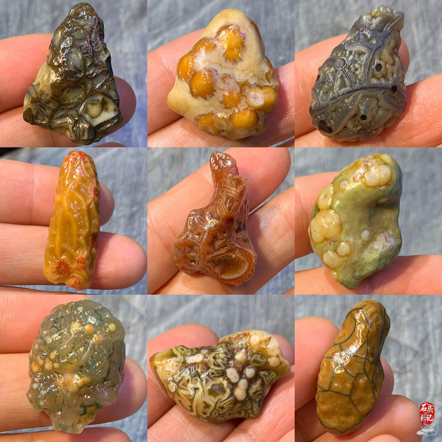 天然戈壁玛瑙原石奇石俏色筋脉石吊坠项坠经脉石阿拉善石鱼籽花脉
