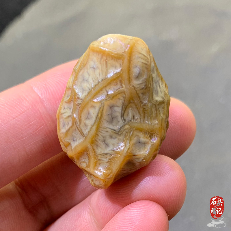 天然戈壁石 阿拉善石 玛瑙原石 奇石 筋脉石 经脉 配饰 挂饰
