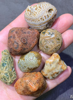 天然戈壁石 奇石 阿拉善石 玛瑙原石 筋脉石 经脉