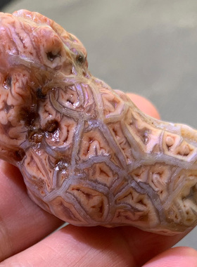 天然外蒙戈壁石 阿拉善玛瑙原石 精品筋脉 花脉 筋脉花 奇石 经脉