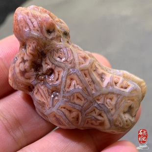 天然外蒙戈壁石 阿拉善玛瑙原石 精品筋脉 花脉 筋脉花 奇石 经脉