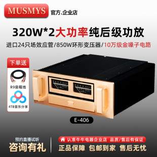 406HIFI大功率发烧进口德国场效应管pk金嗓子后级功放 妙思E