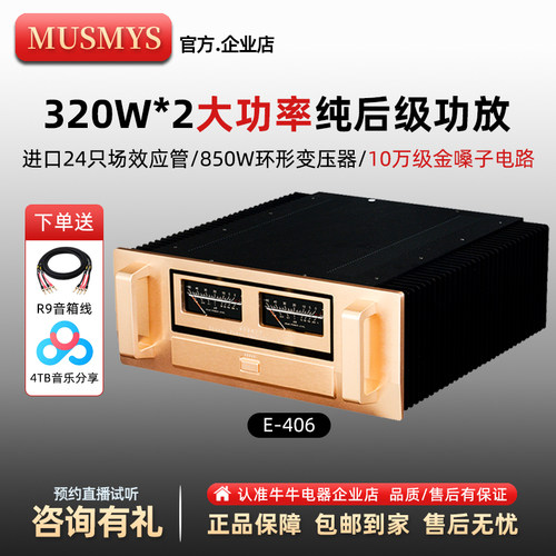 HiFi大功率高端纯后级功放