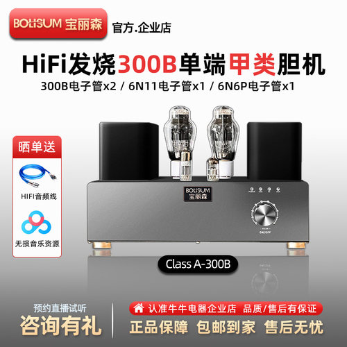 宝丽森300B电子管胆机功放