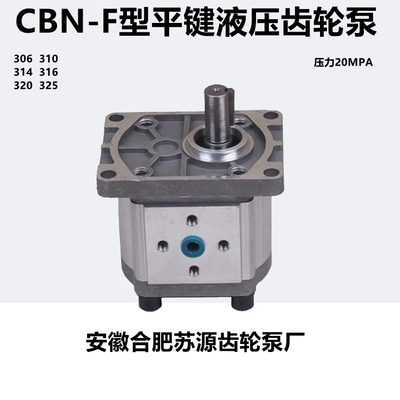 306/310/314/316平键齿轮泵单键