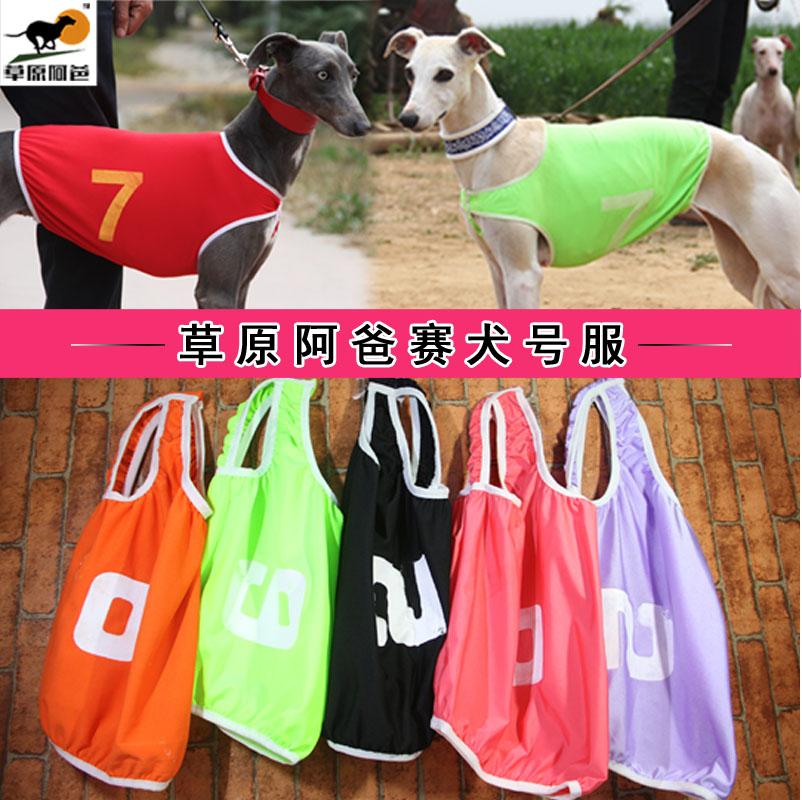 草原阿爸赛号服格力犬惠比特细狗灵缇赛号服狗衣服赛道服比赛犬服